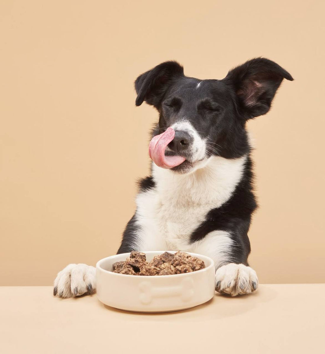 Balanced Nutrition Tips for Dogs and Cats: how to ensure proper nutrition for your pet