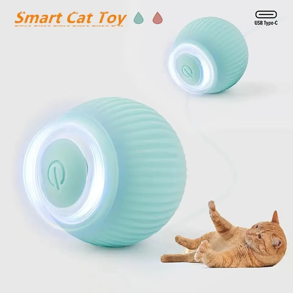 Smart Ball Pet Toy