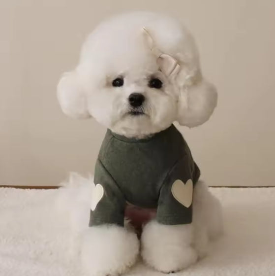 Sweater for small breed dogs