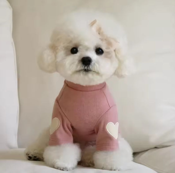 Sweater for small breed dogs