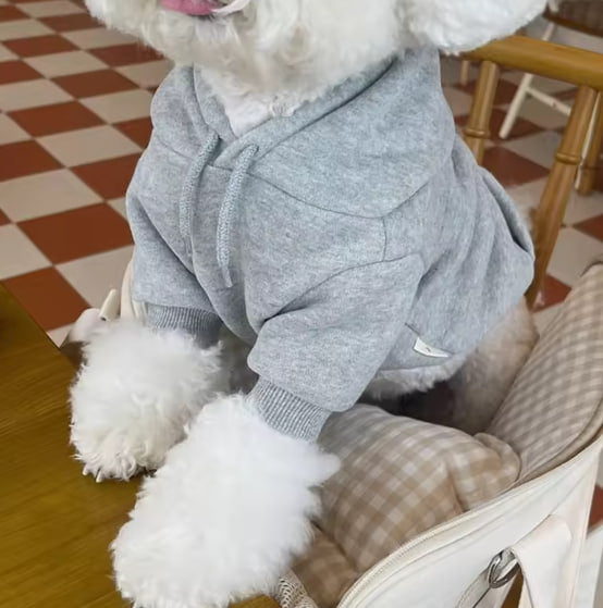 Sweatshirt for dogs of small and medium breeds