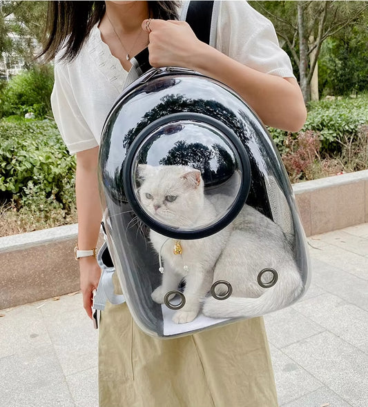 Transparent carrying for pets