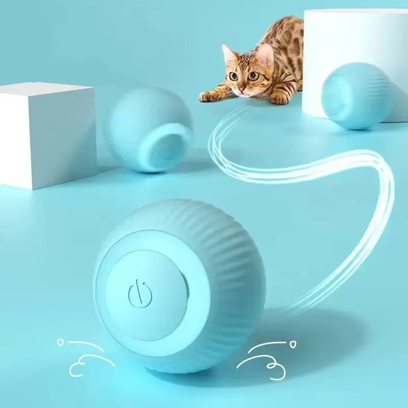 Smart Ball Pet Toy