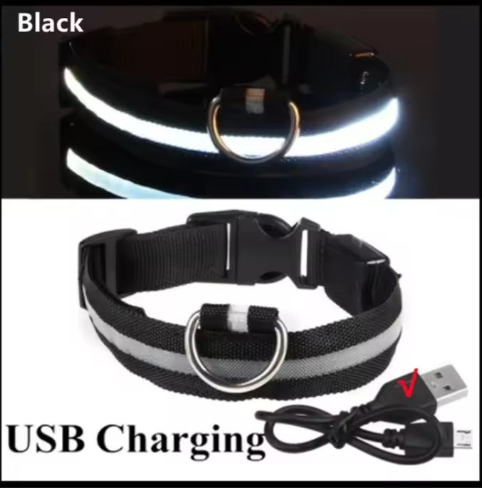 LED Luminous Dog Collar