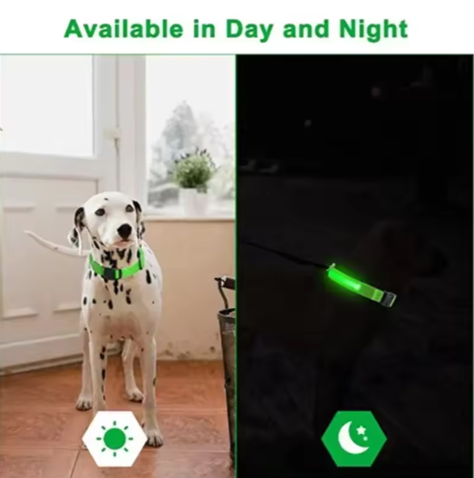 LED Luminous Dog Collar