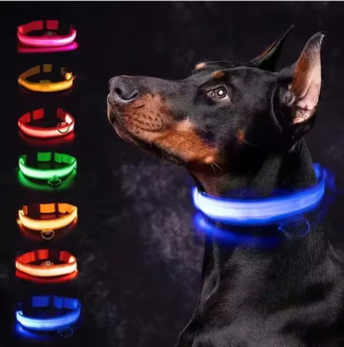 LED Luminous Dog Collar