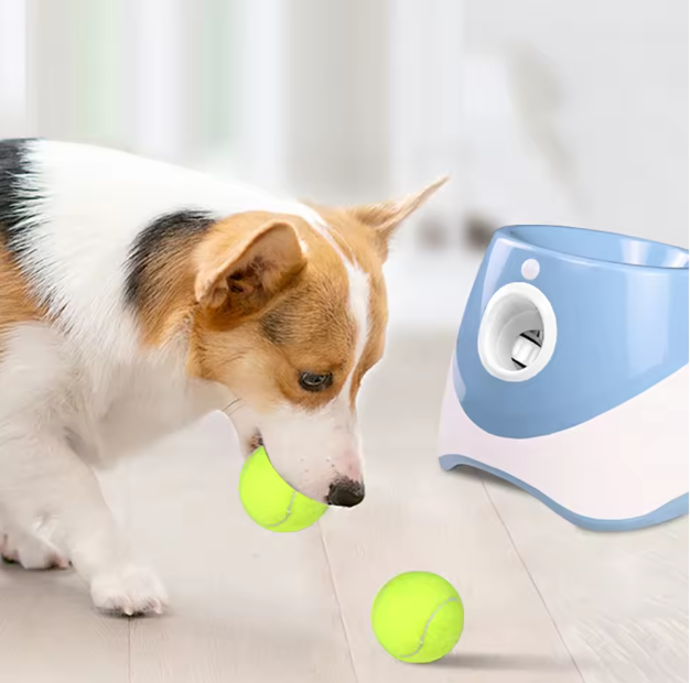 Automatic Ball Launcher for Dogs