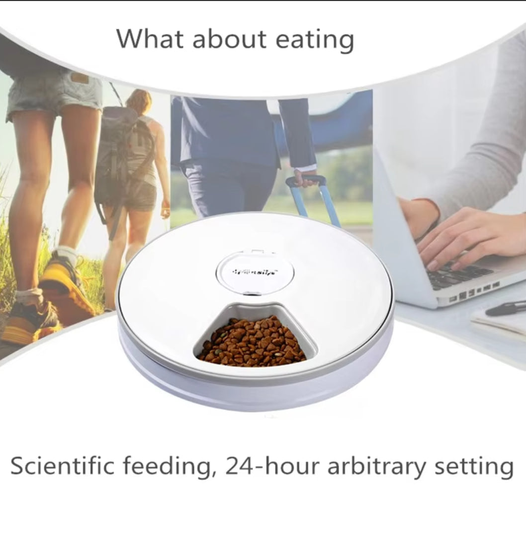 Automatic Pet Feeder