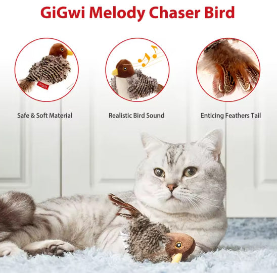 Pet bird toy