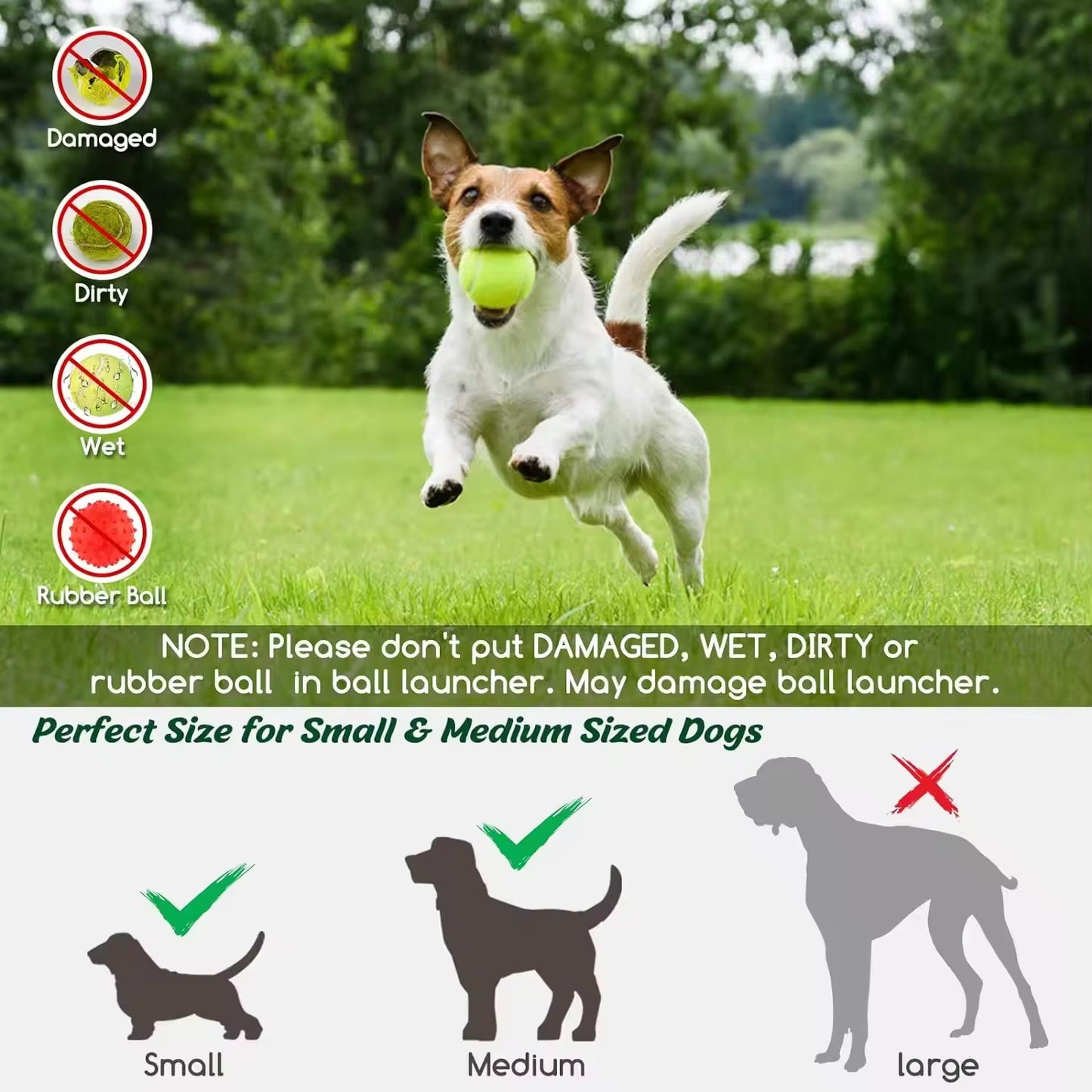 Automatic Ball Launcher for Dogs