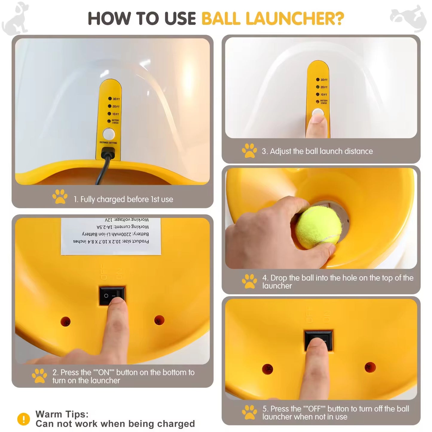 Automatic Ball Launcher for Dogs