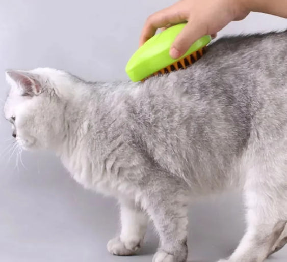 Steam brush for cats and dogs