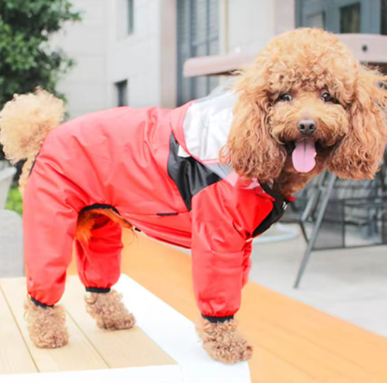 Dog jumpsuit with hood